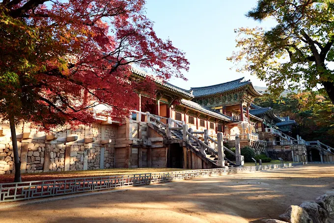 韓国のパワースポット体験：願いが叶うと言われる盤浦大橋の噴水ショーへ！